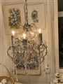 IMG_2359.jpeg