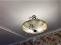 IMG_2424.jpeg