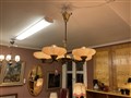 IMG_3026.jpeg