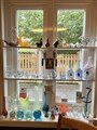 IMG_3202.jpeg